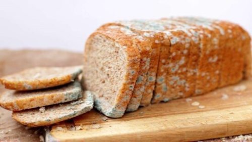 این غذاها را حتما دور بریزید، سمی شده‌اند!